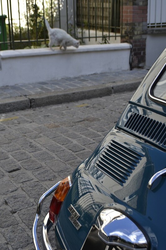 FIAT 500 L blu turchese 71